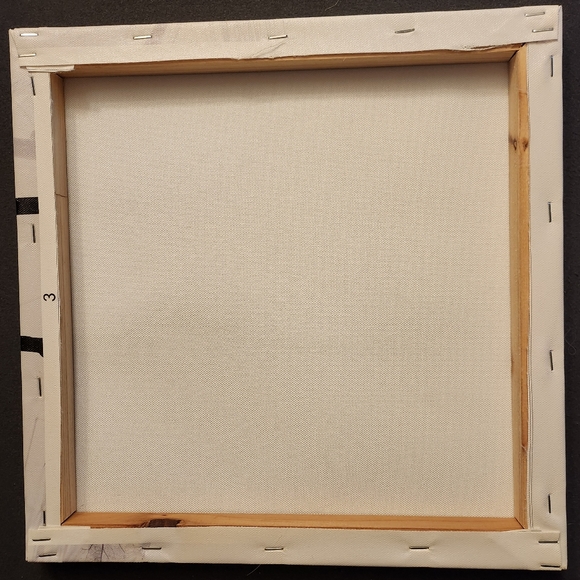 8 12"x12" Floral Pictures - Picture 13 of 14